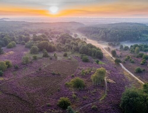 Visit Limburg